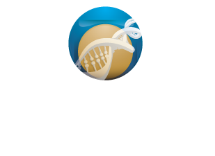 ICT Internacional